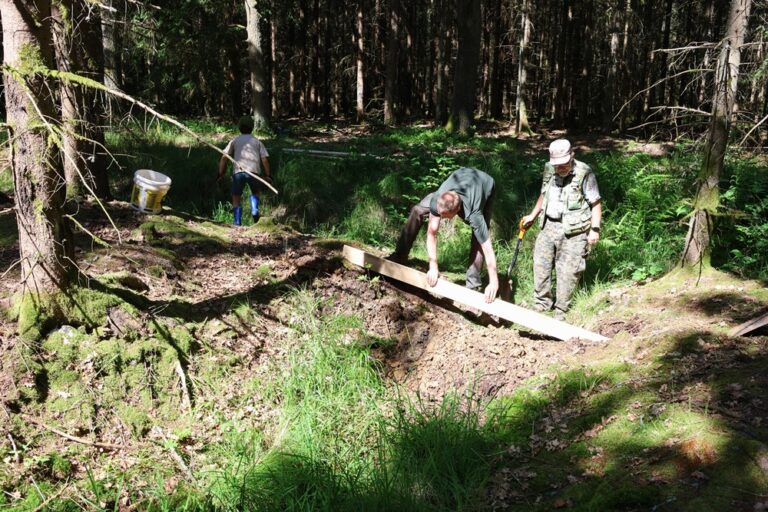 Od sázení buků po obnovu prameniště – stovky dobrovolníků pomáhaly v brdských lesích