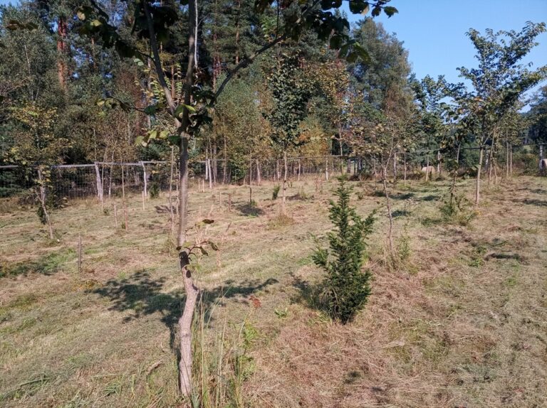 Mezinárodní den biologické rozmanitosti: ČSOP podpoří přes stovku projektů pomáhajících biodiverzitě v Česku