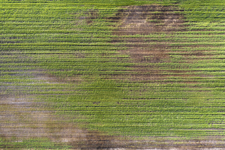 Polovina území ČR trpí silným půdním suchem, i kvůli suché a teplé zimě