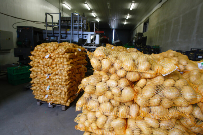 Potravináři: Nový cíl EU ke snížení množství potravinového odpadu je nesmyslný