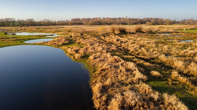 Jde to. Příklad ochrany přírody, která se opravdu povedla