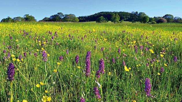 CHKO Krušné hory? Volební lídři v Ústeckém kraji jsou pro