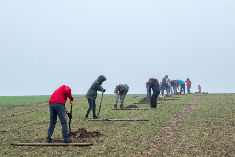 Na výsadbu alejí či obnovu současných rozdělí Nadace Partnerství 1,7 milionu korun