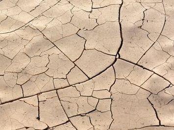 Dnes je den boje proti suchu a rozšiřování pouští