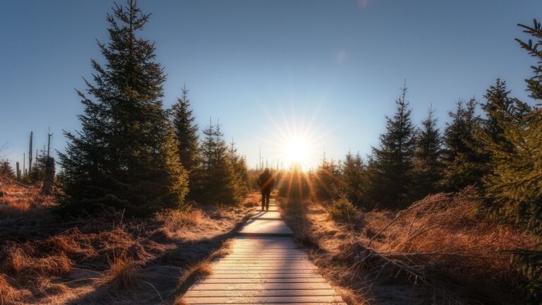 Dalších 127 projektů za 300 milionů zlepší životní prostředí ČR